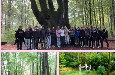 Radtour in den dithmarscher Urwald